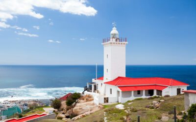 Savvy Plumbing: Your Trusted Plumber Now in the Garden Route