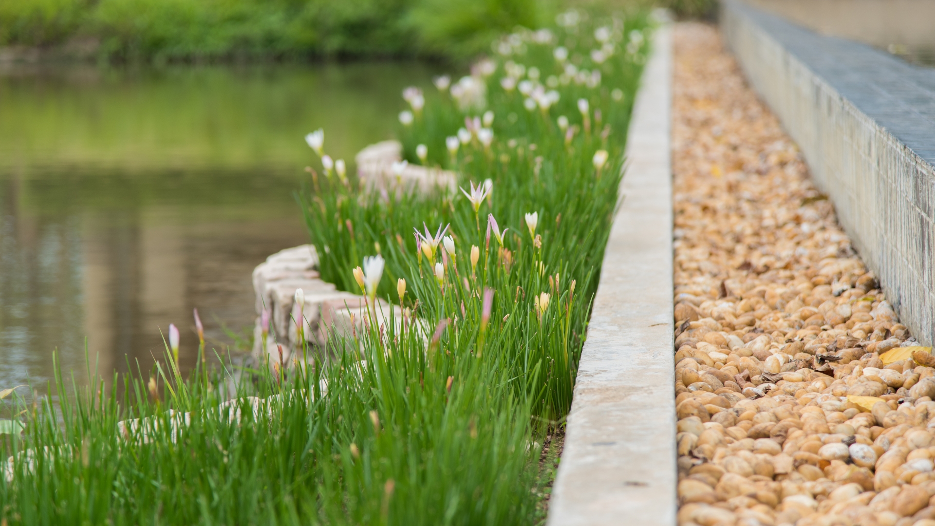 How a French Drain Can Solve Your Drainage Issues
